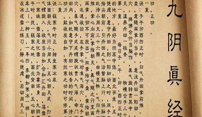 武功秘籍多少钱_一套武功秘籍_武功秘籍在哪能买到/