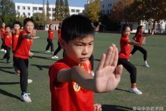 向校园学生介绍武术以强身健体