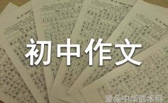 我爱中国武术初中作文