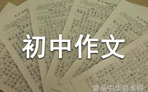 我爱中国武术初中作文