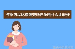 天下第一中国武术之拳法巅峰
