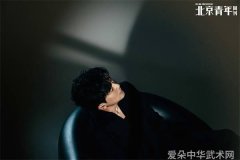 精武杯第十四届太极拳传统武术比赛