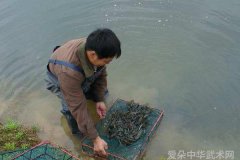上海端午粽香飘万里 江桥精武送温情