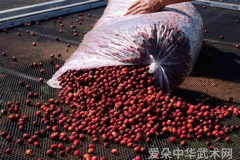 武林盟主争霸赛揭晓