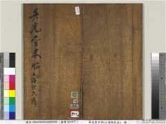 拳行天下探寻武术拳法的奥秘