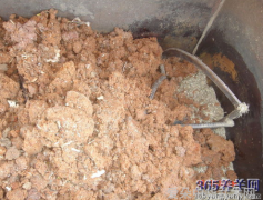 如何选择合适的武术教练和培训班