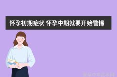 武林资讯-探秘江湖传奇领略武林风云