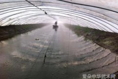 武林资讯武林传奇人物的一生谁是你